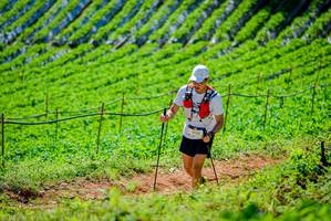 BIB: 2143, 
                            <button type="button" onclick="openModal(19163391)" class="btn btn-primary btn-sm float-right btn-popup" data-toggle="modal" data-target=".modal-high-quality">
                        <i class="fas fa-shopping-cart"></i> Add to Cart
                    </button>
                                            <button type="button" onclick="isThisMe(19163391, true)" class="btn btn-success btn-sm float-right btn-popup btn-isme hidden" data-toggle="tooltip" data-placement="bottom" title="นี่คือรูปของคุณใช่ไหม คลิกที่นี่เพื่อเอาเข้าอัลบั้ม">
                        <i class="fas fa-plus"></i> Add to album
                    </button>
                    <button type="button" onclick="isThisMe(19163391, false)" class="btn btn-warning btn-sm float-right btn-popup btn-isnotme hidden">
                        <i class="fas fa-ban"></i> Remove from album
                    </button>